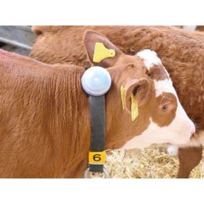 Smart Neckband_LED sensormodul V02.1, Halsband HDX kompl.